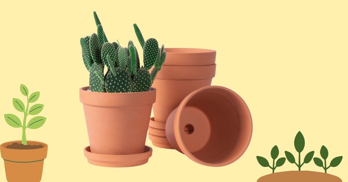 Best Planters