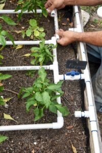 Irrigation Systems for Vegetable Gardens
