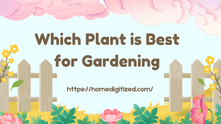 Gardening