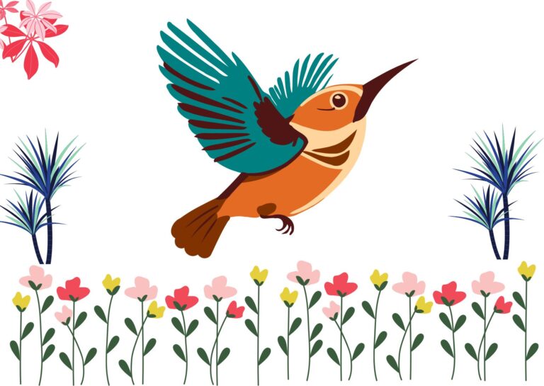 Bird And Wildlife Accessories