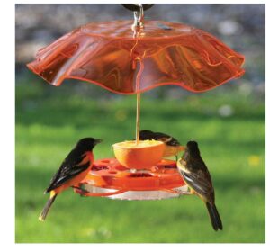 First Nature 3088 Oriole Feeder Protective Weatherguard