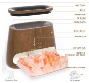 SALKING 2-in-1 Himalayan Salt Lamp Diffuser