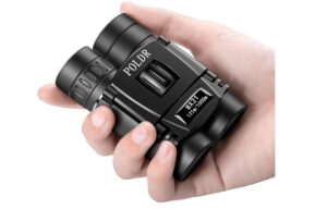 Swarovski Curio 7×21 Ultra-Compact Binoculars for On-the-Go Birdwatching