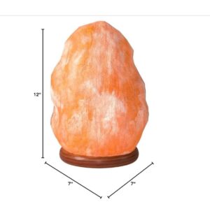 The Body Source Himalayan Salt Lamp