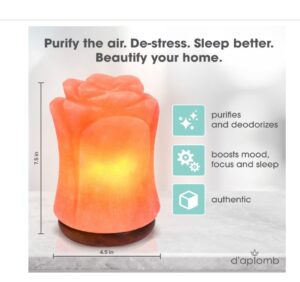 A Beautiful Authentic Himalayan Salt Lamp