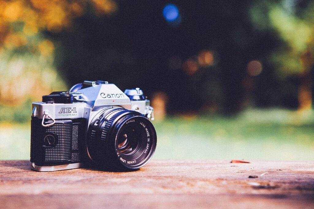 camera for bird watching