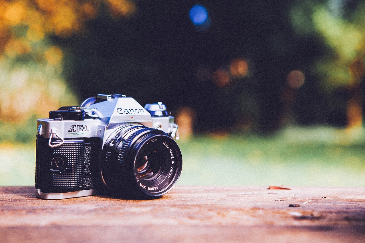 camera for bird watching