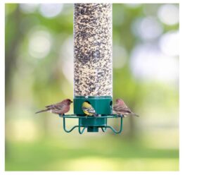 Droll Yankees Finch Flocker Feeder