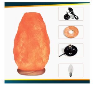 Natural Himalayan Pink Salt Lamp