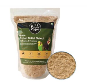 The Birds Company Foxtail Millet Good Quality But Pricey