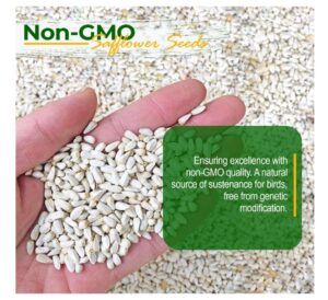 Wildlife Safflower Seed for Bird Feeding 25 lbs | Non-GMO, USA Farm Grown