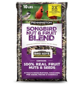 Audubon Park Cardinal Blend Wild Bird Food
