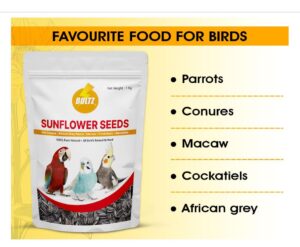 a bag of sunflower seeds