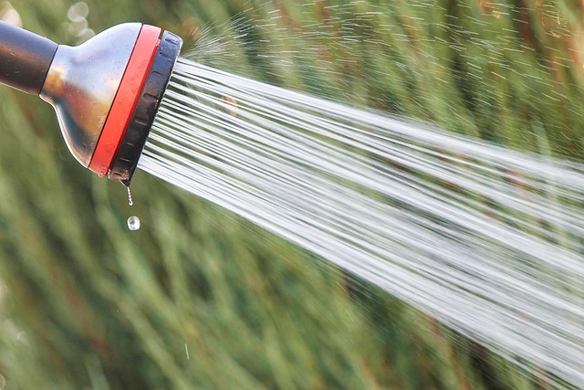 Smart Irrigation Controllers for Lawns 