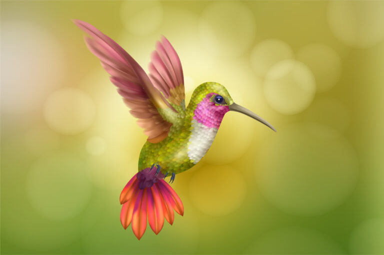 What Is the Special Ability of a Hummingbird?