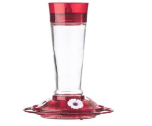 More Birds Bird Health Ruby Glass Hummingbird Feeder