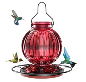 More Birds Vintage Hummingbird Feeder