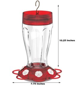 More Birds Big Gulp Hummingbird Feeder