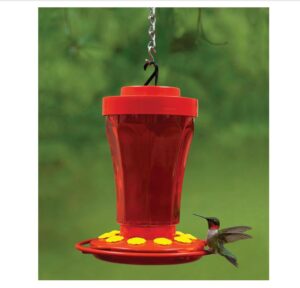 First Nature Hummingbird Feeder
