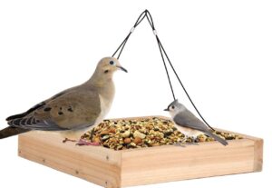 Nature’s Way Cedar Platform Tray Feeder