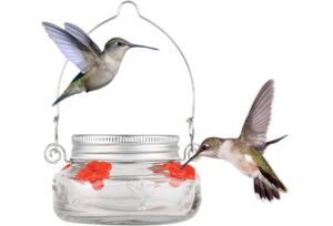 Nature Anywhere Window Hummingbird Feeder
