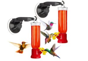 Gray Bunny Window Hummingbird Feeder: Best for Clear Viewing