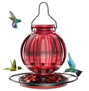 Bolite Hummingbird Feeder: Best for Large Gardens
