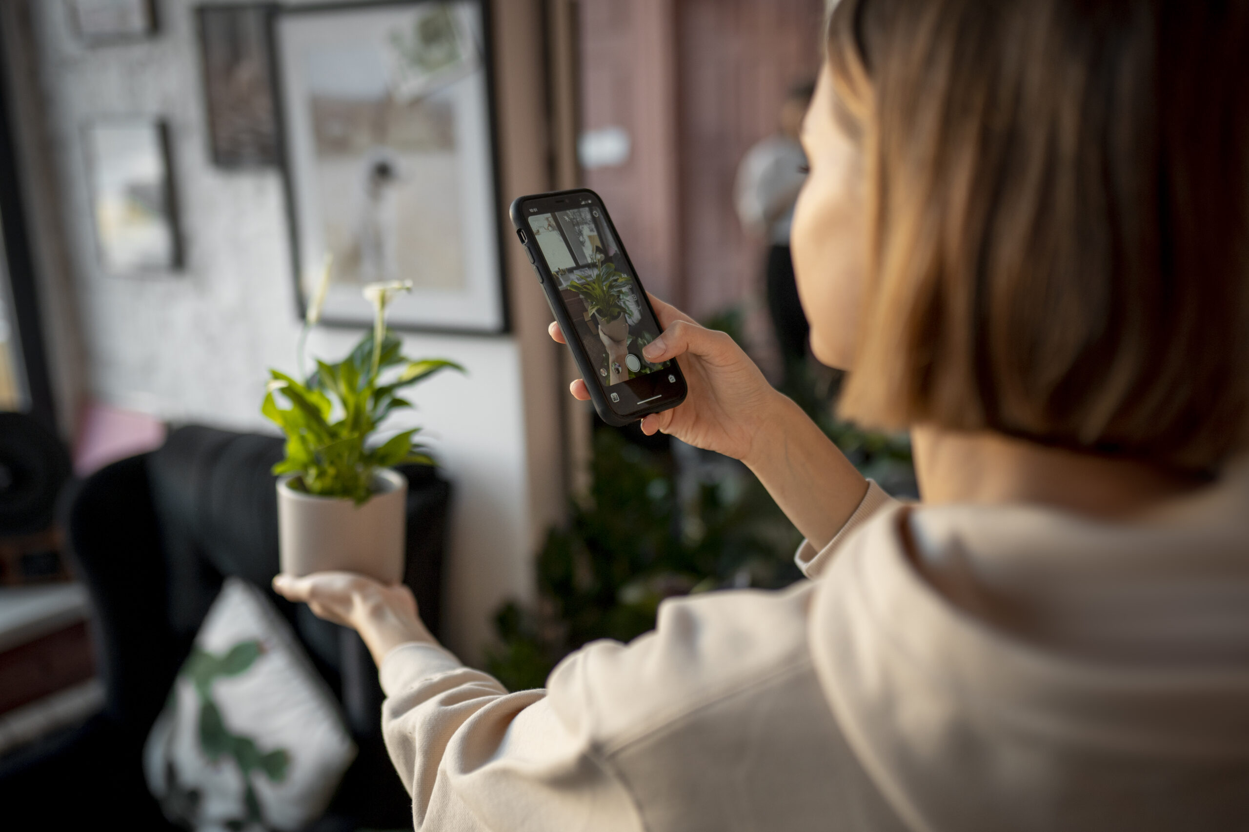 10 Best Rated WiFi Sprinkler Controllers in 2025: Smart Irrigation You Can Rely On