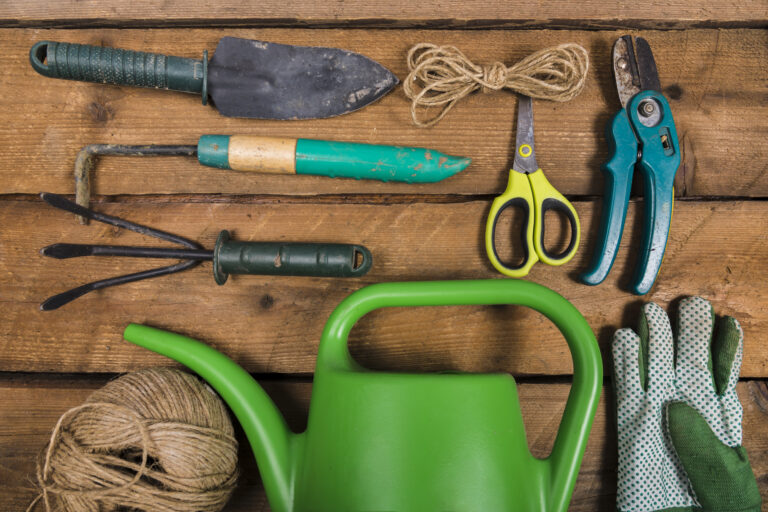 Best Hand Tools for Cutting Long Grass