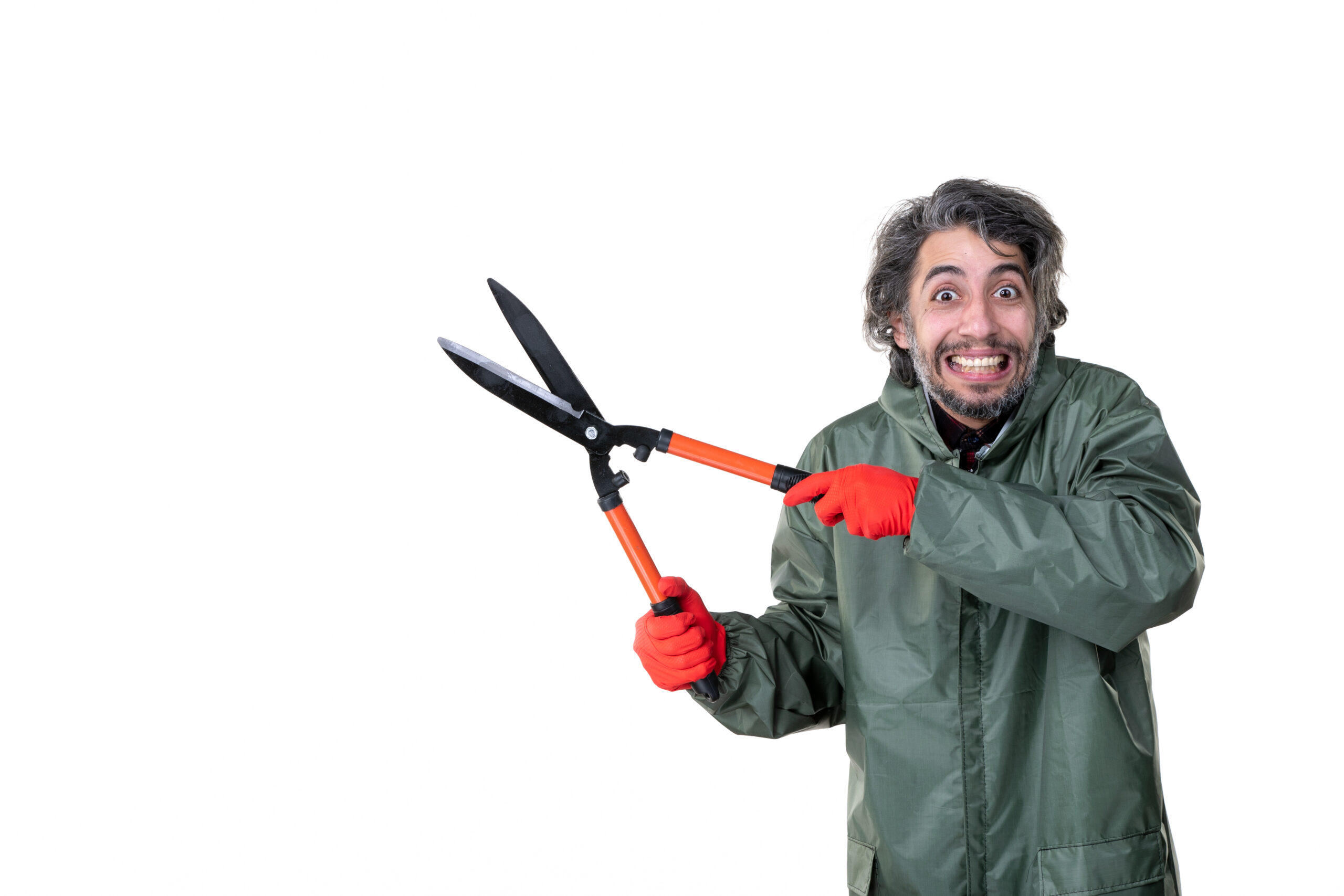 10 Best Tools for Cutting Ornamental Grasses (2025 Garden Tool Guide)