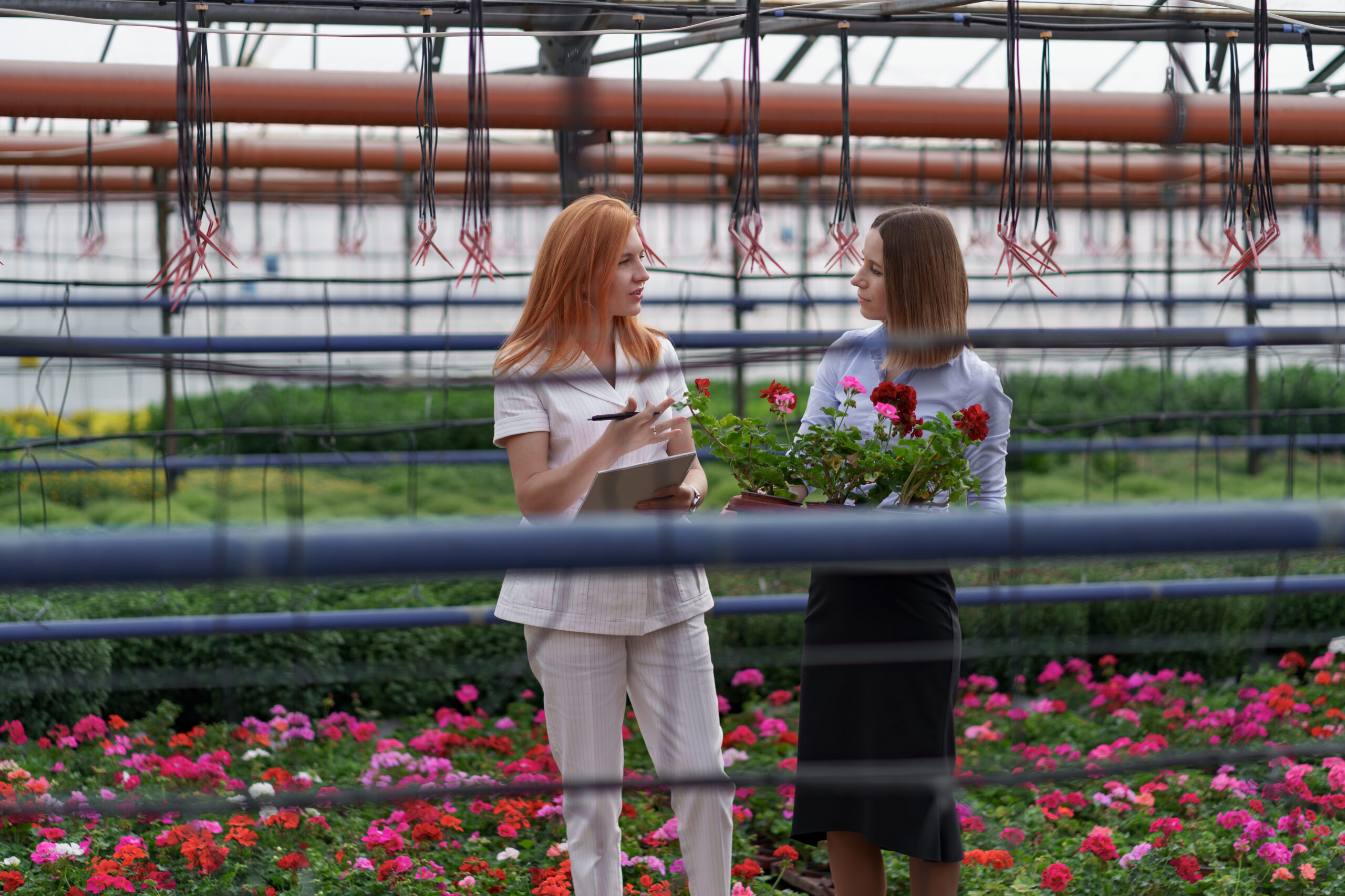 Wire Shelving vs Plastic Shelving for Greenhouses: Which One is Best?