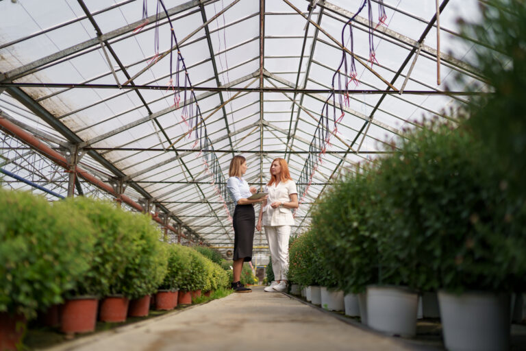 Greenhouse Glass vs Polycarbonate – Which One Should You Choose in 2025?