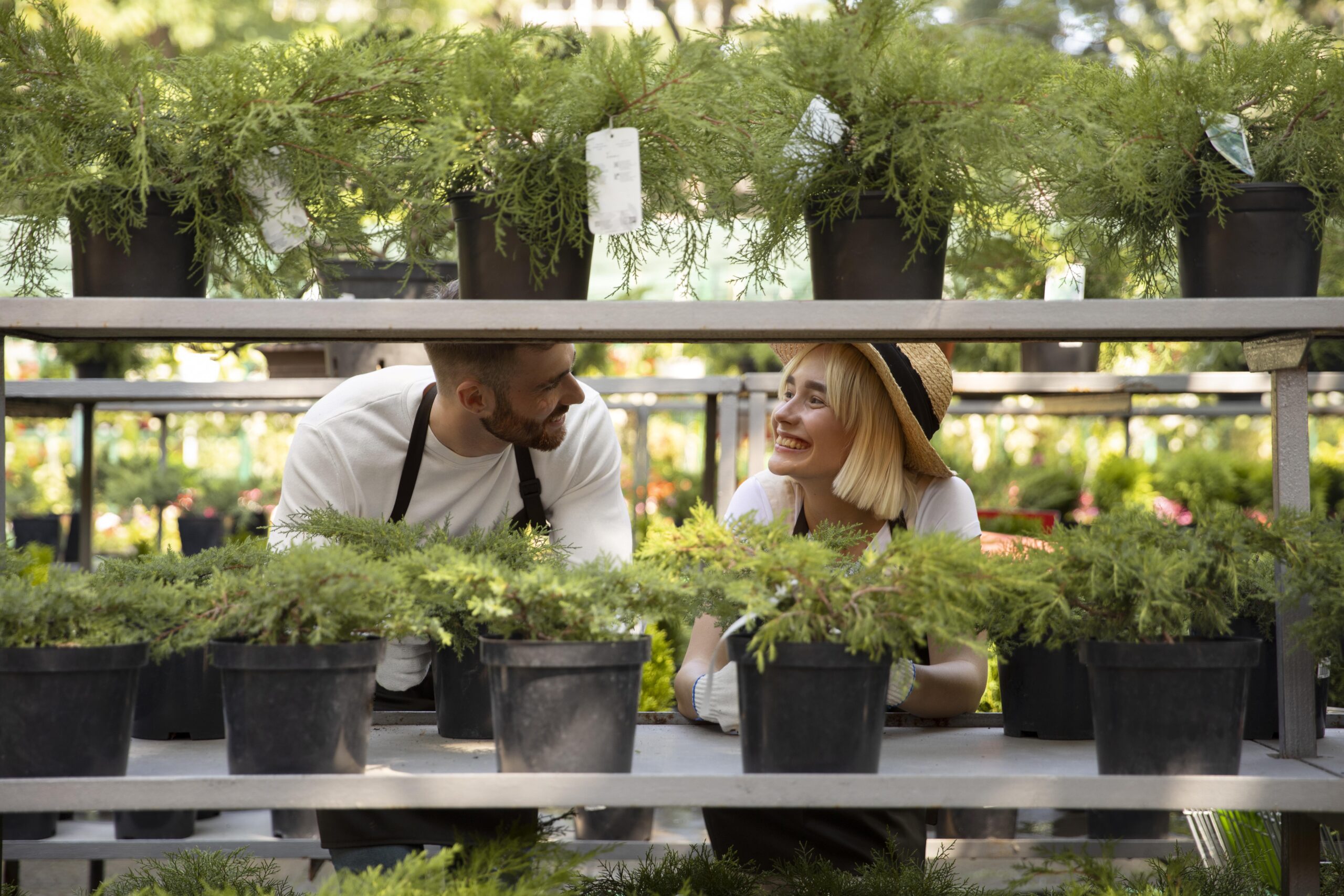 Best LED grow lights for greenhouse plants in 2025