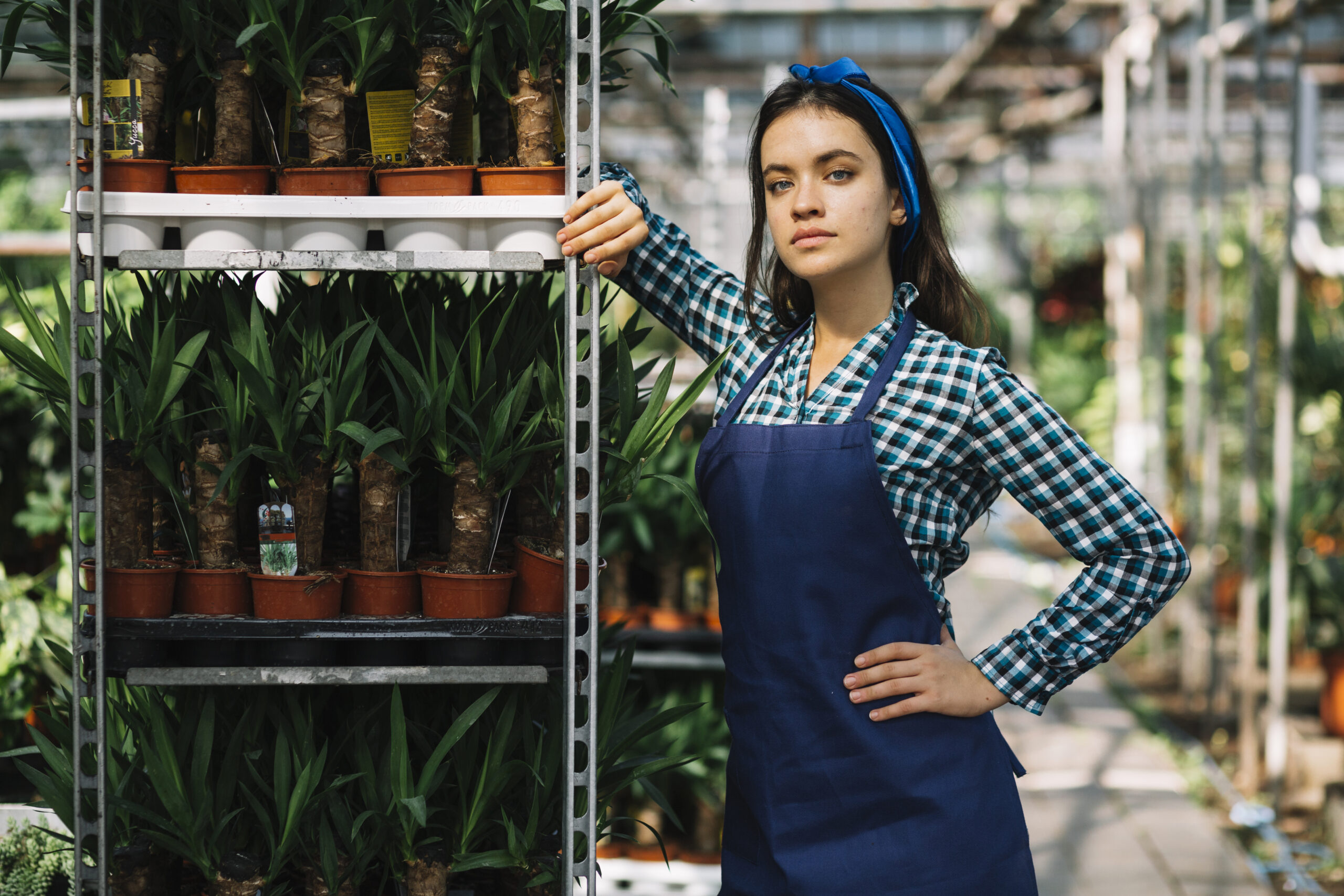 Greenhouse Shelving Units for Heavy Pots: Stability & Storage