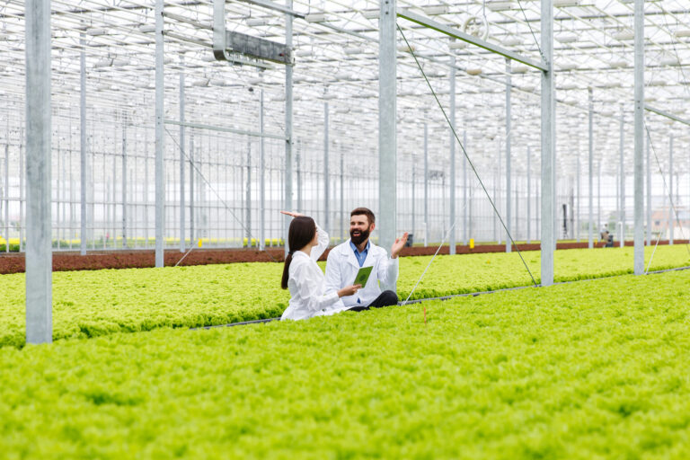 What is the definition of a garden?