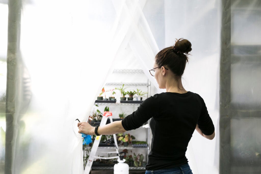 Shade Cloth vs. Greenhouse Paint