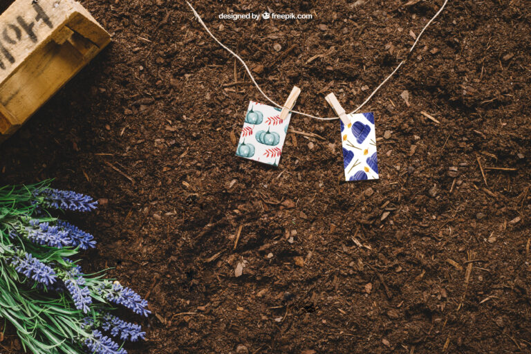Best 5 Compost for Garden Soil in 2025: Transform Your Garden with Nutrient-Rich Blends