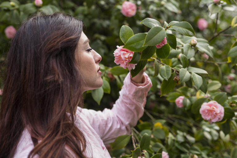 How I Transformed My Roses Into Show-Stopping Blooms