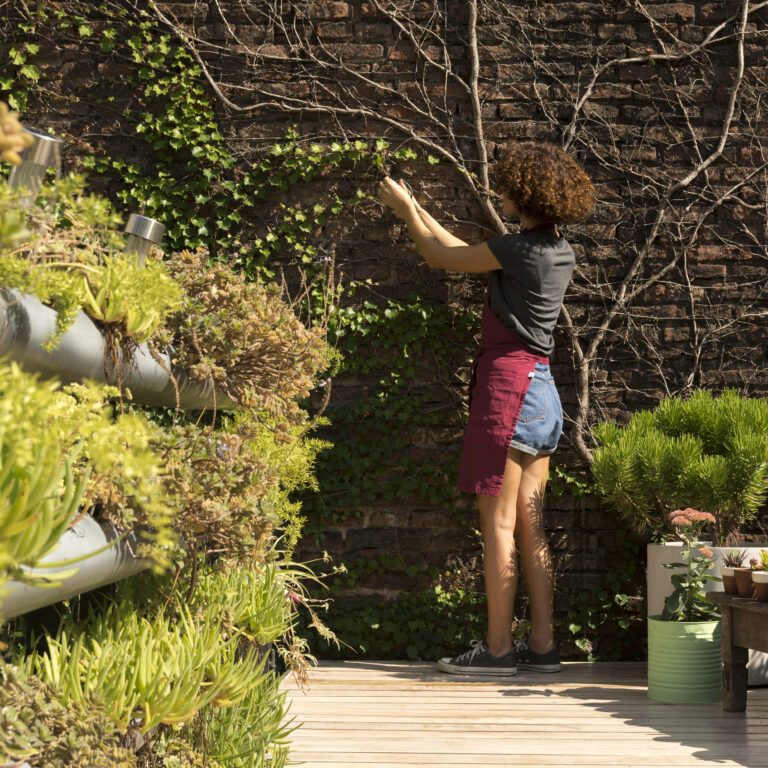 Best 5 Landscape Solar Spot Lights for 2025: Brighten Your Garden with Eco-Friendly Power