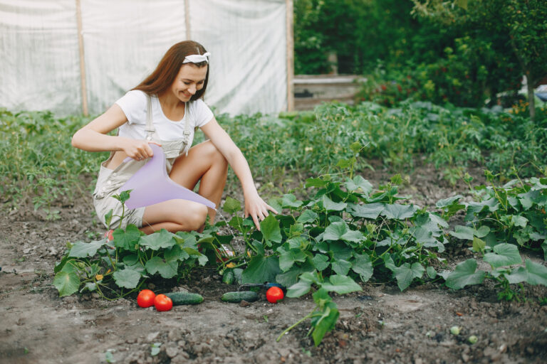 How to Use Baking Soda and Vinegar for Plants