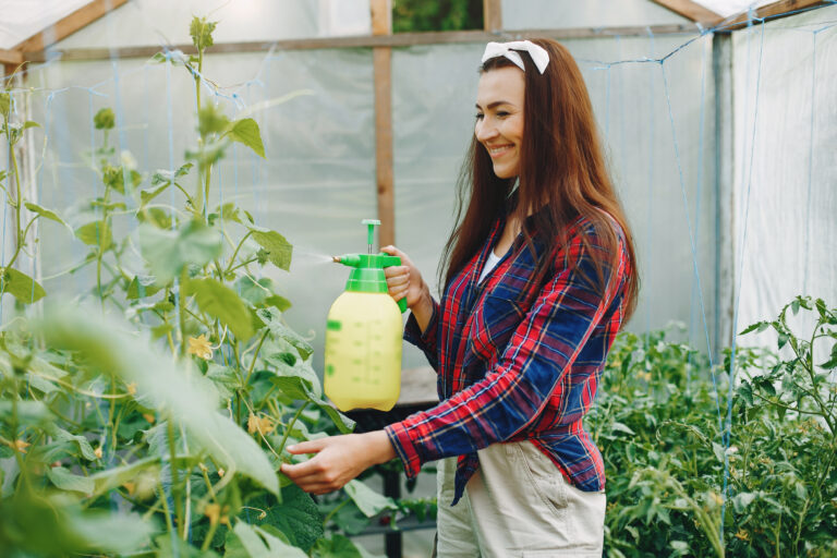 how to use baking soda in vegetable garden