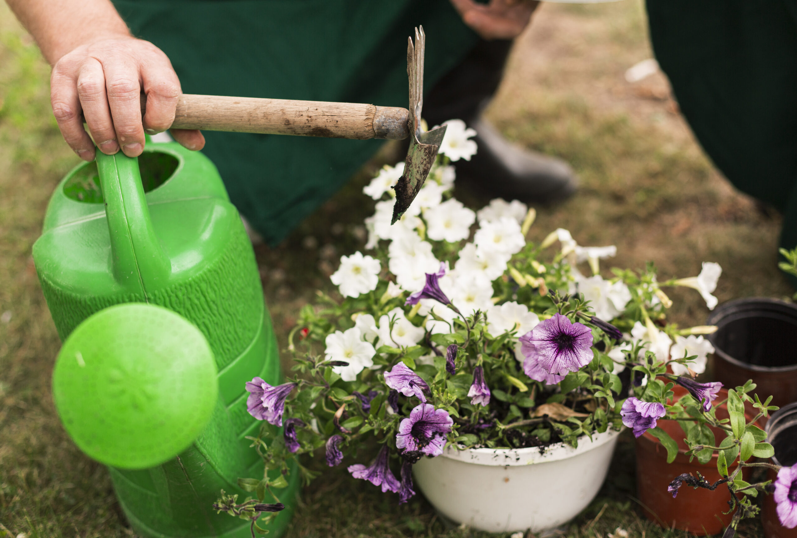 5 Best Garden Fertilizers for Winter Vegetable Gardens in 2025: My Journey to a Resilient Harvest