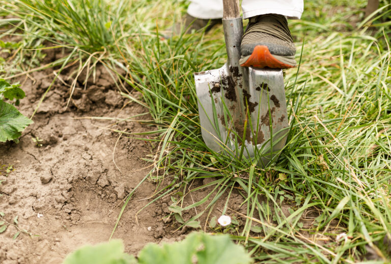 The 5 Best Electric Rototillers for Small Gardens in 2025: A Definitive Guide