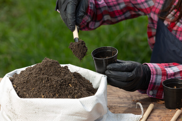 Best Fertilizers for Clay Soil
