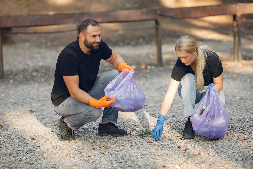5 best bagged compost for vegetable garden
