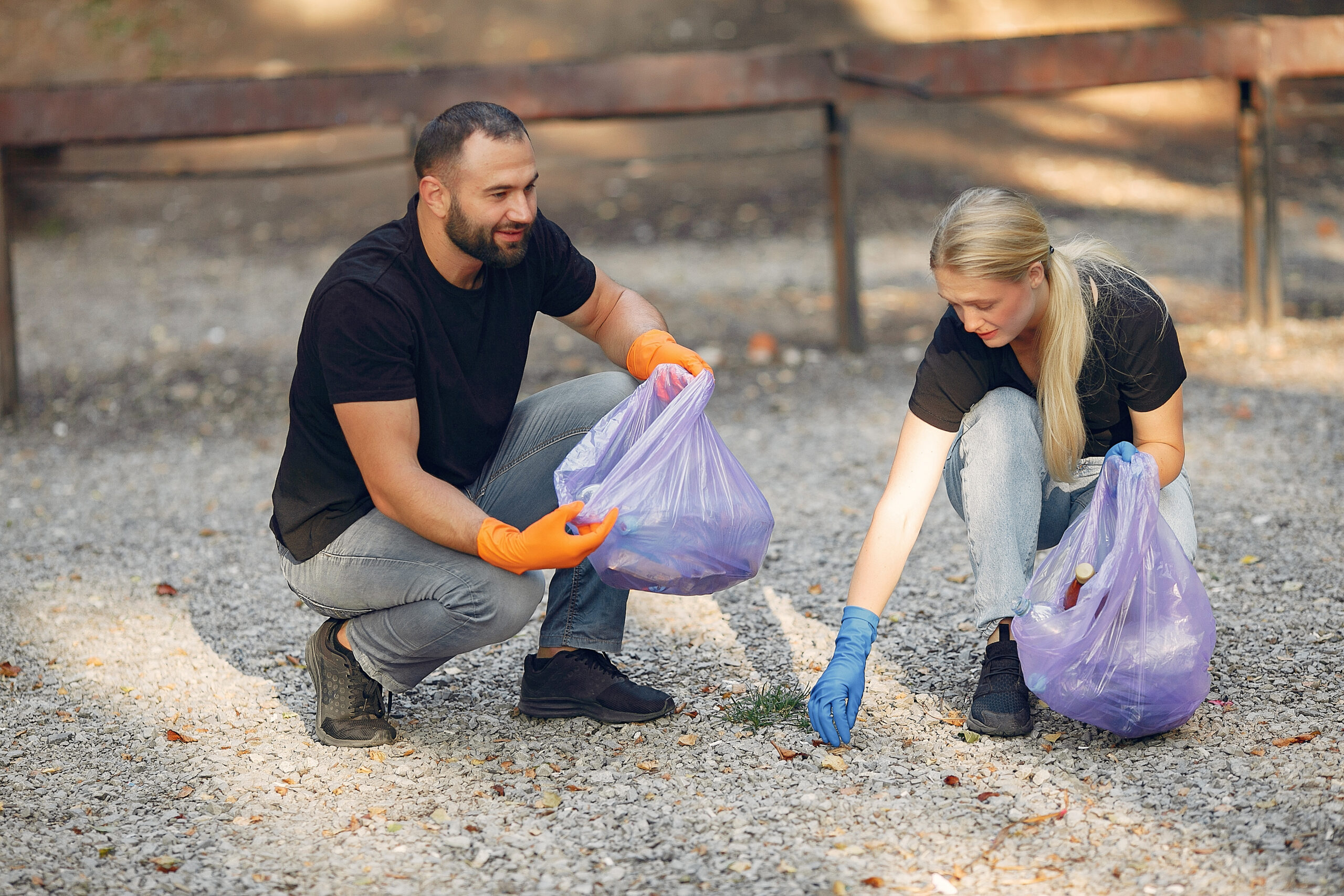 5 best bagged compost for vegetable garden