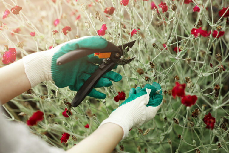 best weed killer for flower garden​