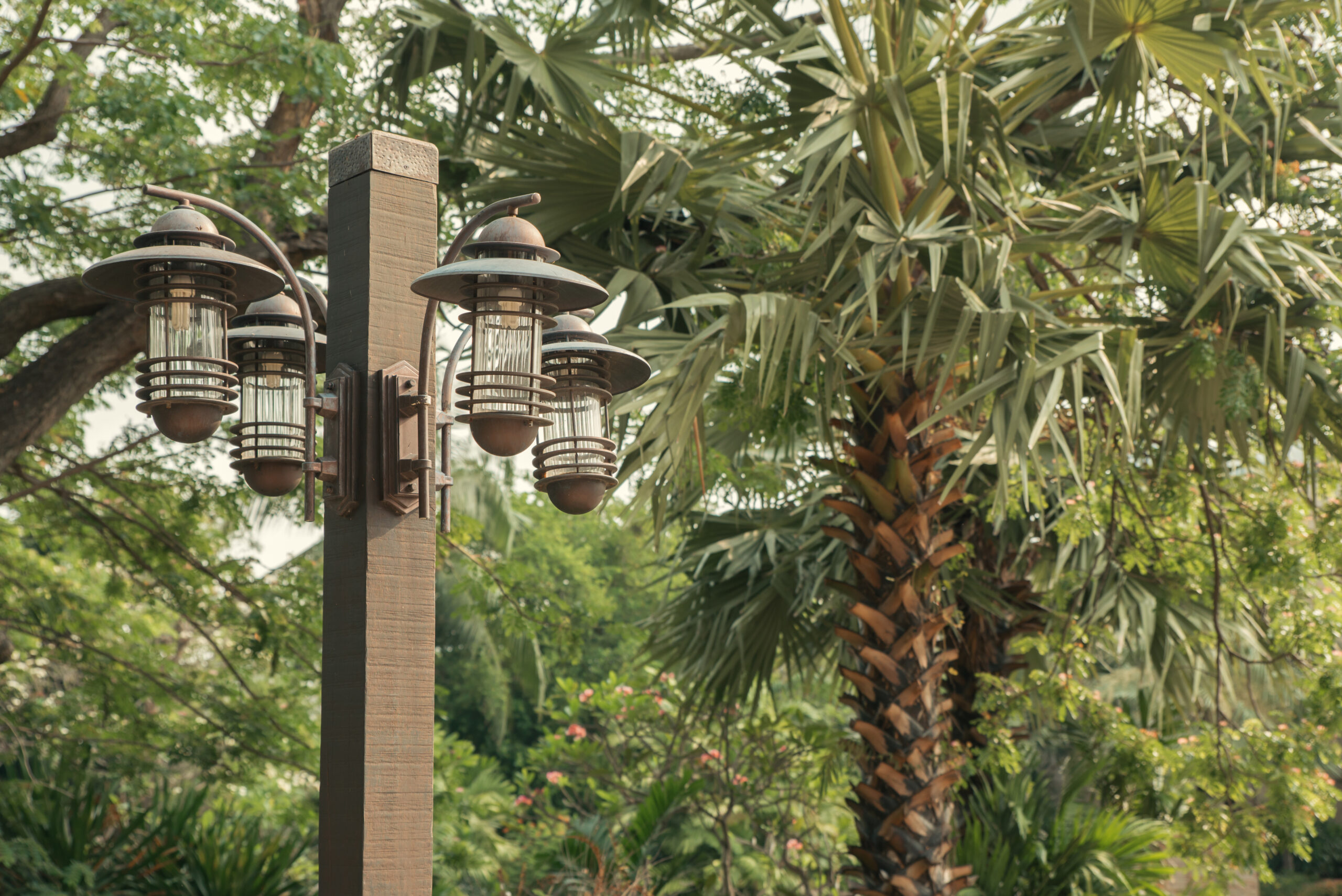 The 5 Best Outdoor Solar-Powered Lights for 2025: Yard, Pathway, Uplights, Tree, and Flood Lights