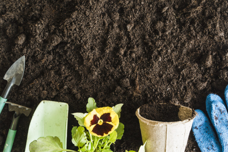 Best 5 Compost for Raised Vegetable Gardens in 2025: Power Your Harvest with Nutrient-Rich Picks