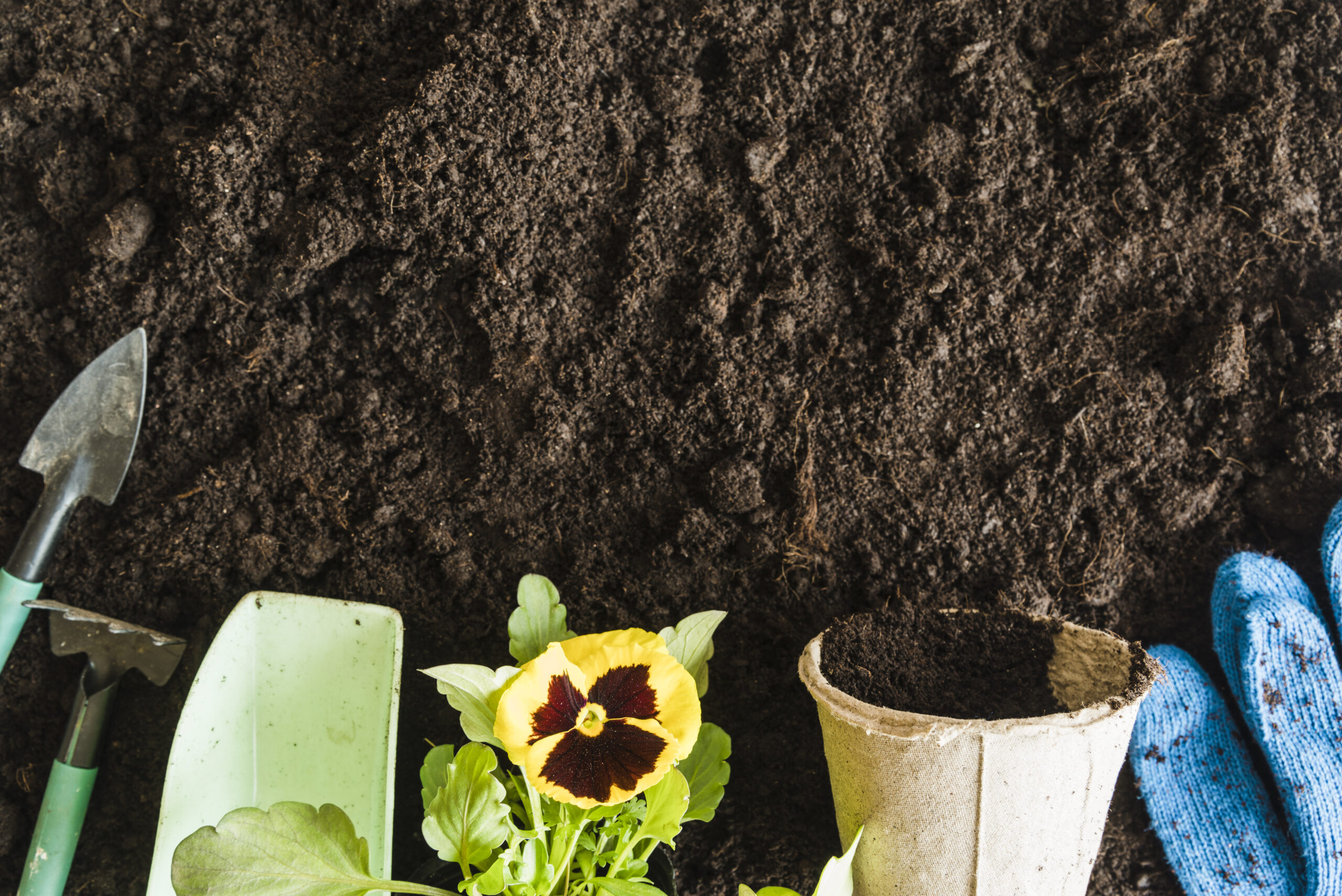 Best 5 Compost for Raised Vegetable Gardens in 2025: Power Your Harvest with Nutrient-Rich Picks